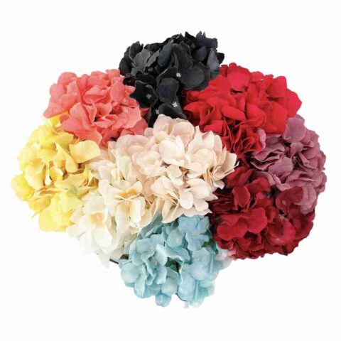Colores de flores